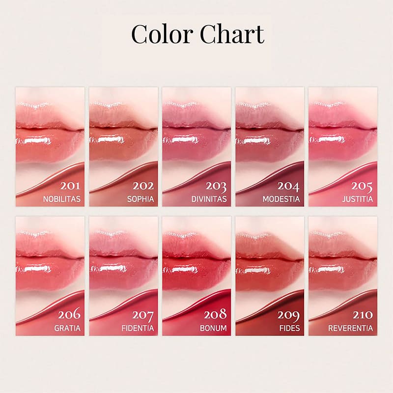 Dinto Blur-Glowy Lip Tint 209 Fides 3.5g