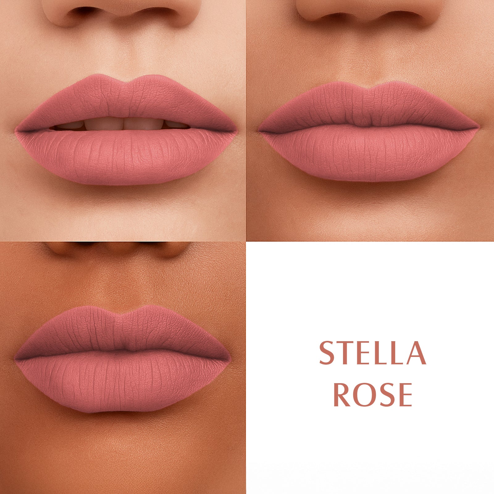 Lotus Proedit Liquid Matte Lip Color