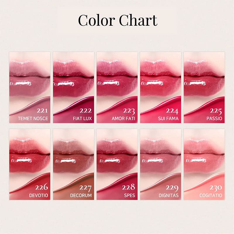 Dinto Blur-Glowy Lip Tint 217 Pax Romana 3.5g