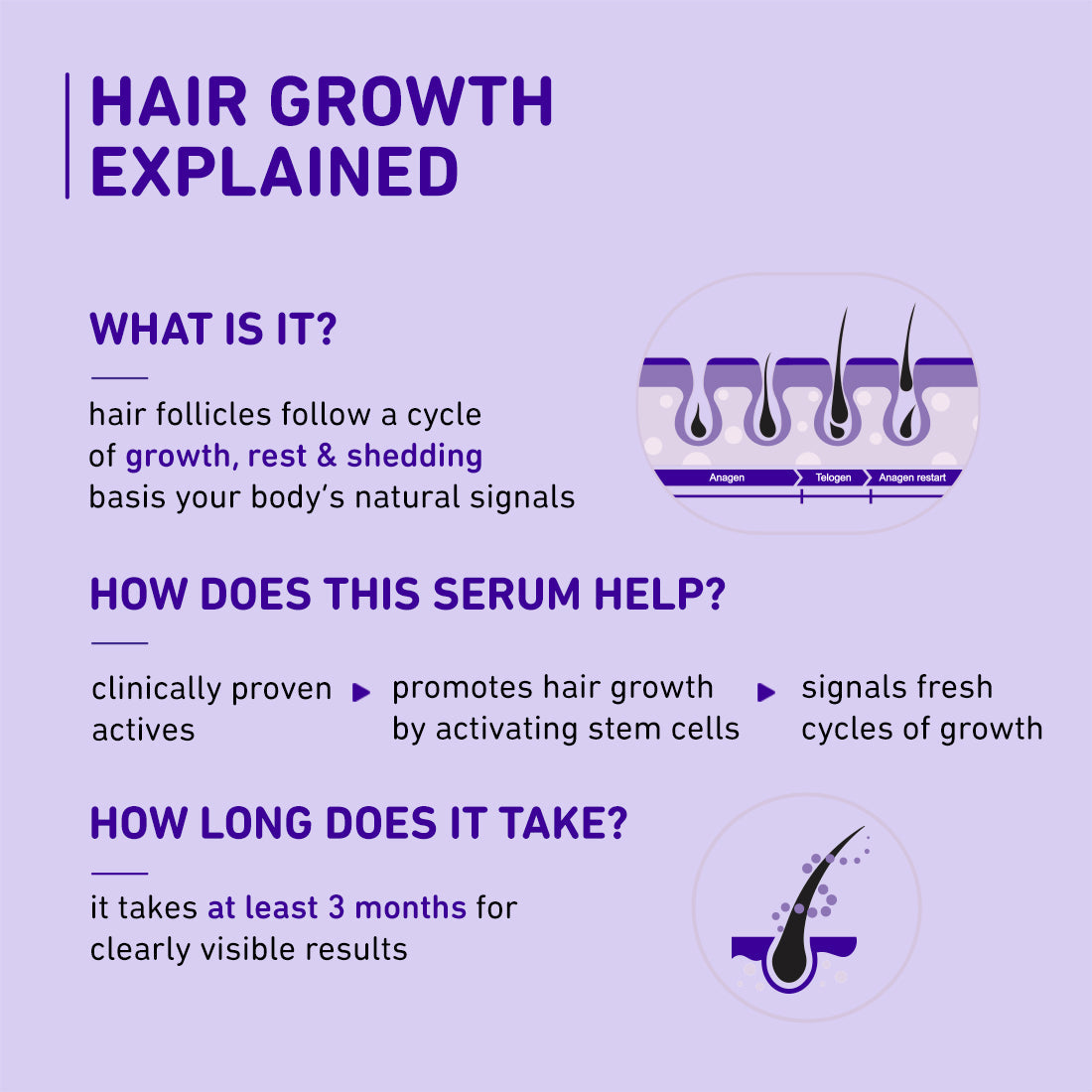 Plum Rosemary & 3% Redensyl Hair Growth serum