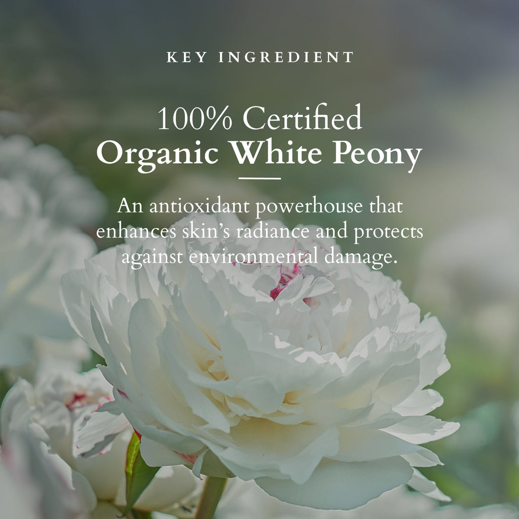 Lotus Precious Brightening Serum+ Creme