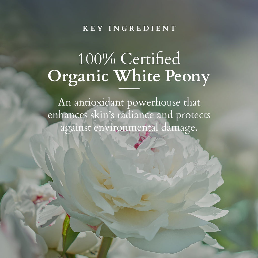 Lotus Precious Brightening Night Creme