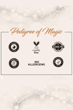 Colorbar Flawless Finish Primer