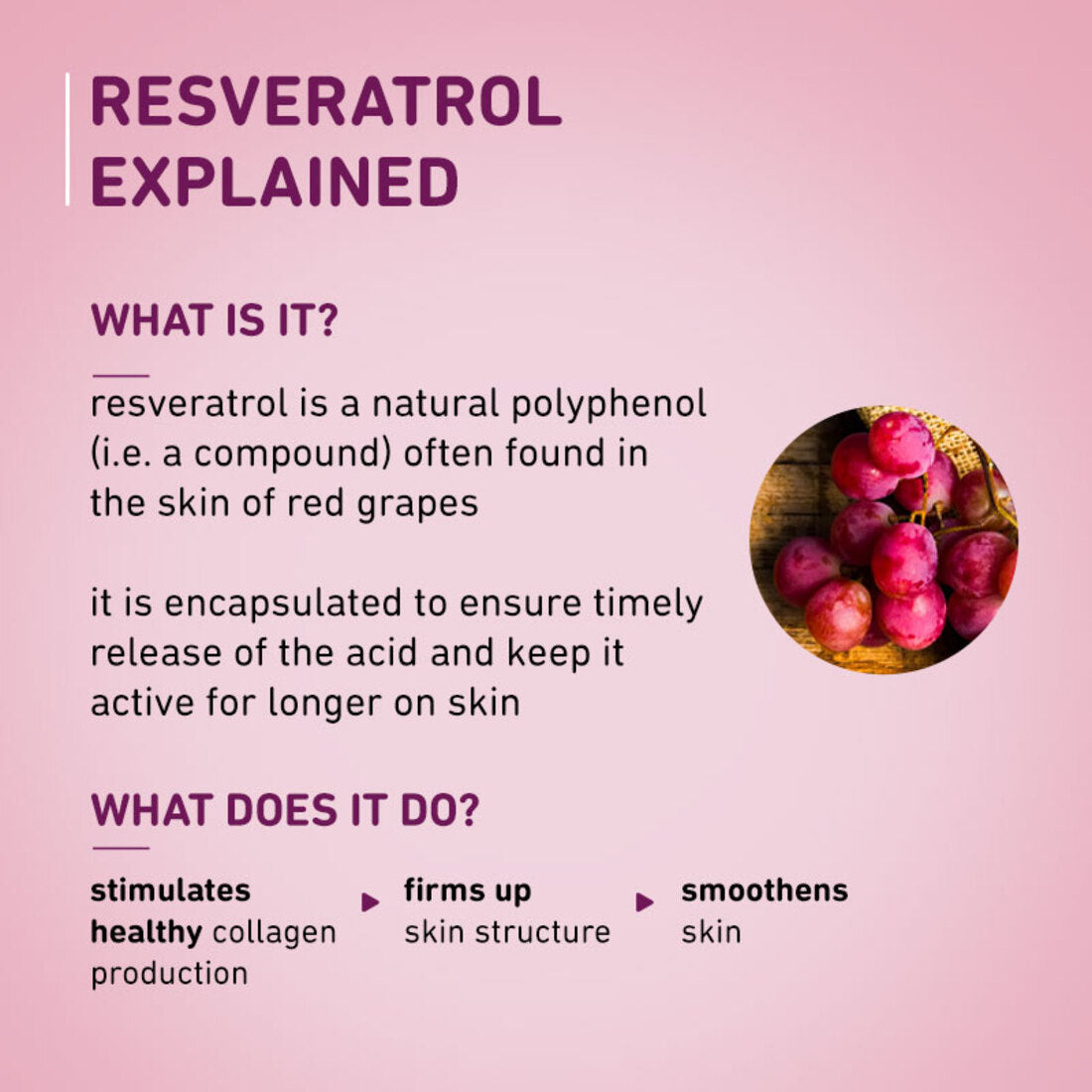 Plum 1% Resveratrol & Vitamin C Youthful Glow Moisturizer