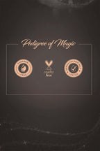 Colorbar Intensely Rich Kajal