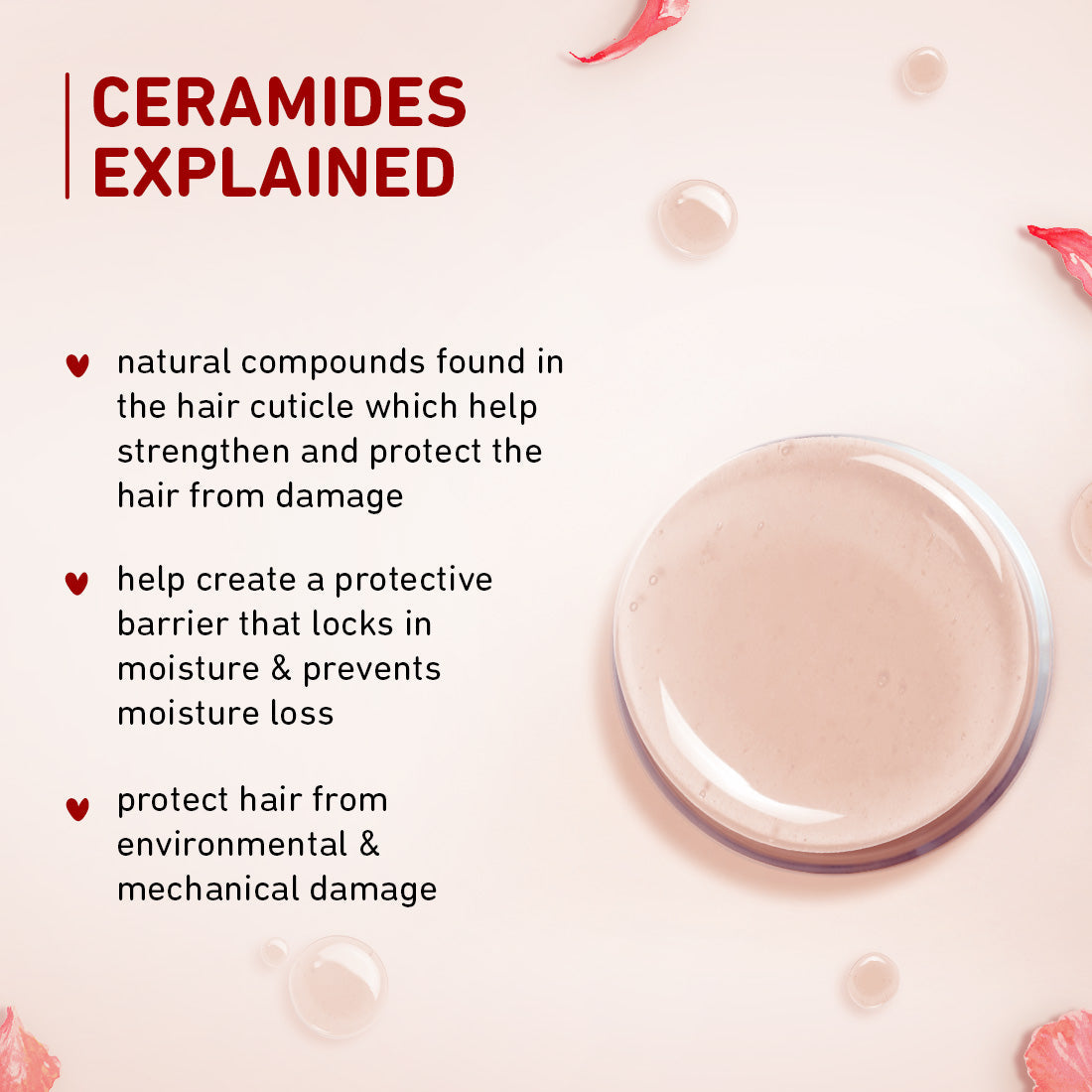 Plum Hibiscus & Ceramides Long & Healthy Conditioner