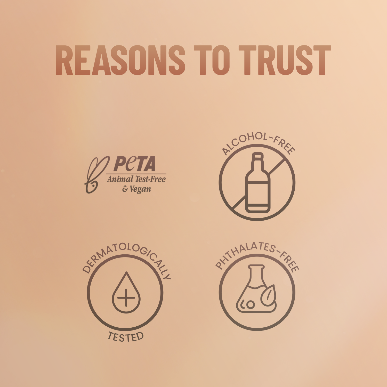 Swiss Beauty Cover Studio Concealer Palette