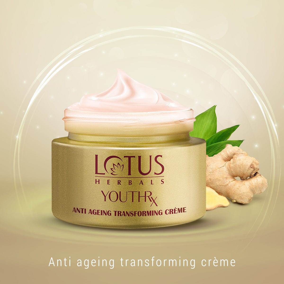 Lotus YouthRx Anti Ageing Transforming Cream SPF 25 | PA+++