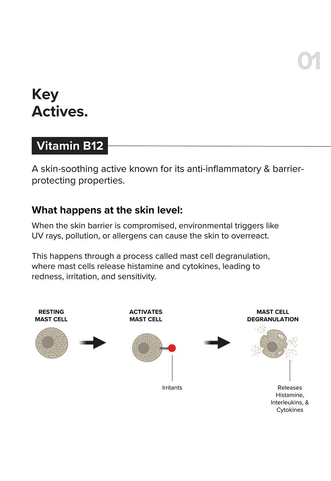 Minimalist B12 + Repair Complex 5.5% Face Moisturizer
