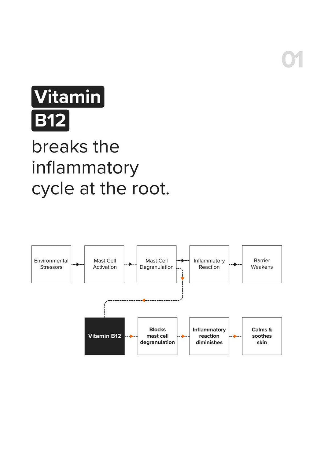 Minimalist B12 + Repair Complex 5.5% Face Moisturizer
