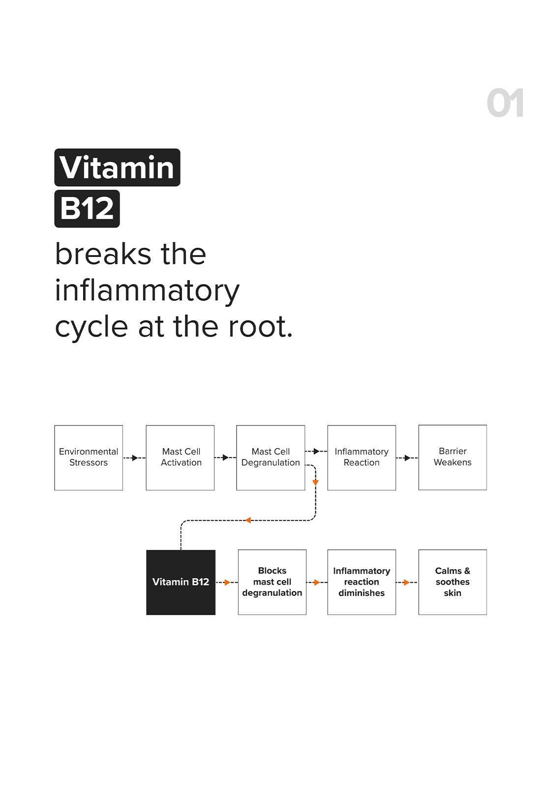 Minimalist B12 + Repair Complex 5.5% Face Moisturizer