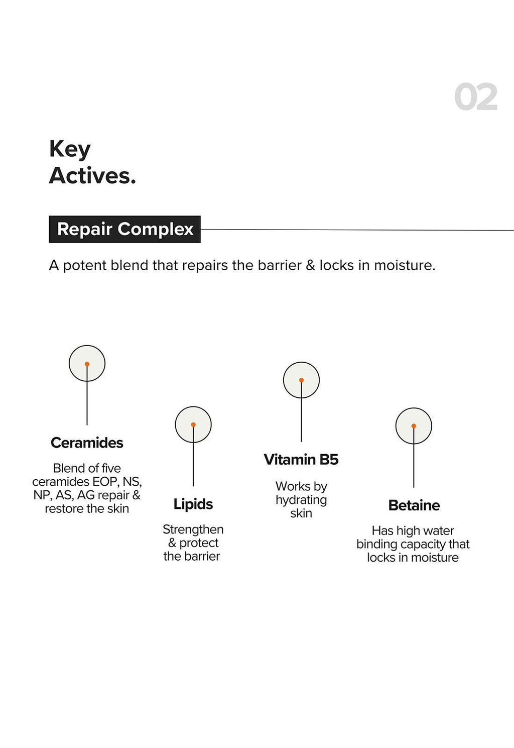 Minimalist B12 + Repair Complex 5.5% Face Moisturizer