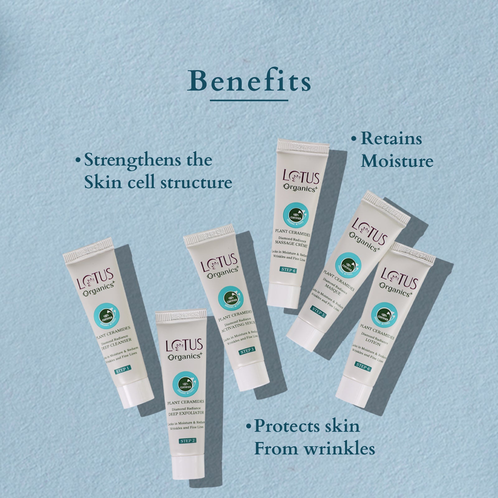 Lotus Organics+ Diamond Radiance Facial Kit