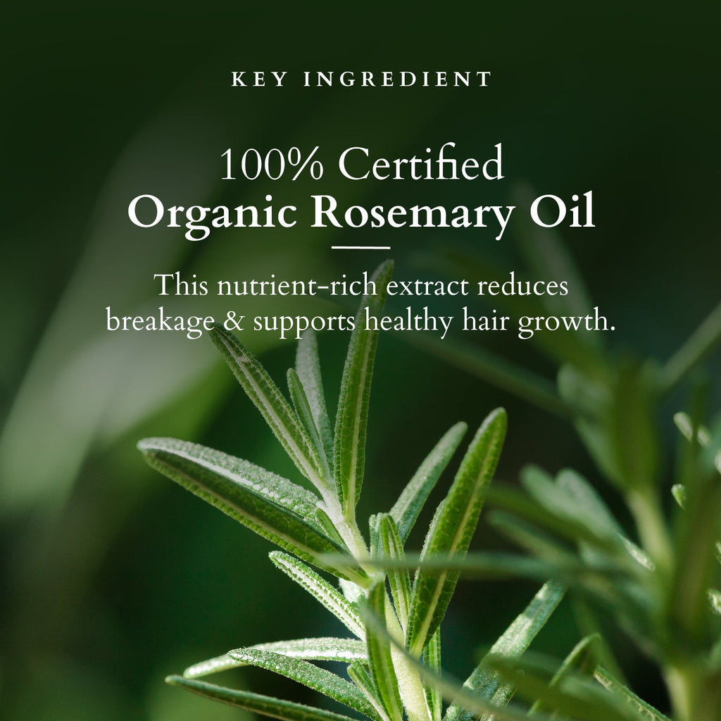 Lotus Organics+ Hair Fall Control Shampoo