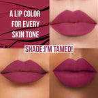 Insight 24 Hrs Non Transfer Matte Lipstick