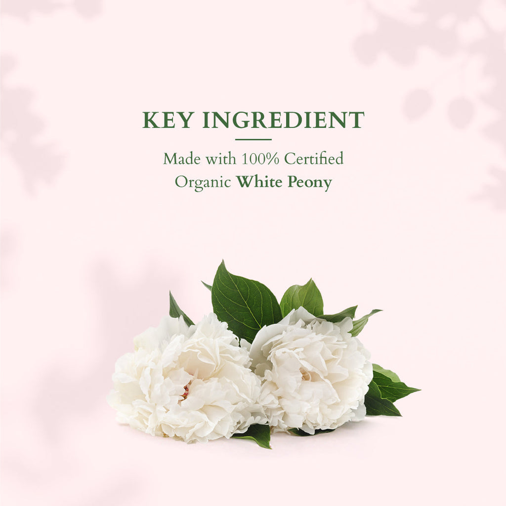 Lotus Skin Brightening On the Go Glow Combo Pack