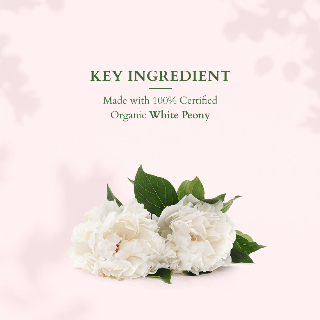 Lotus Skin Brightening On the Go Glow Combo Pack