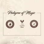 Colorbar Perfect Match Primer