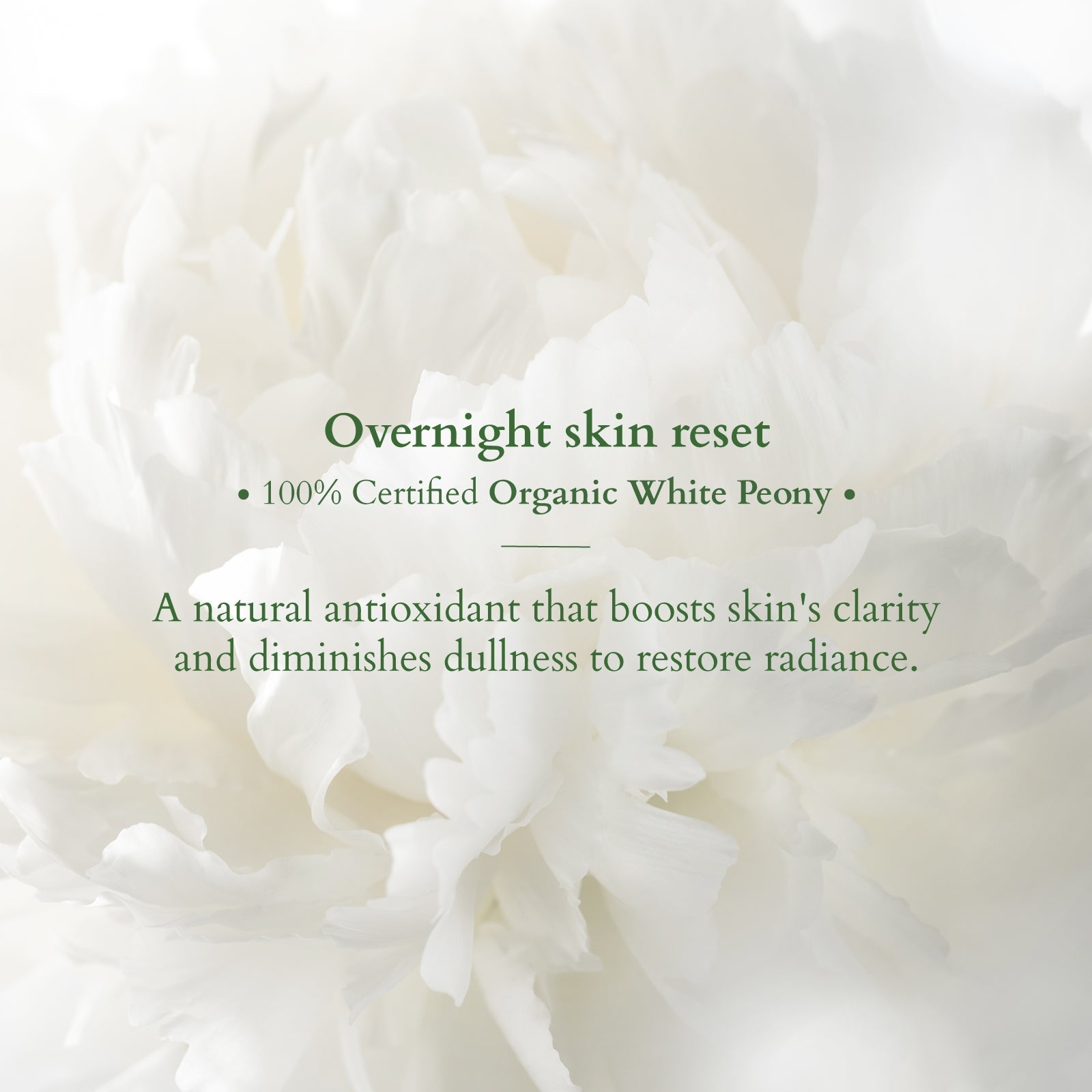 Lotus Precious Brightening Ultimate Radiance Beauty Duo