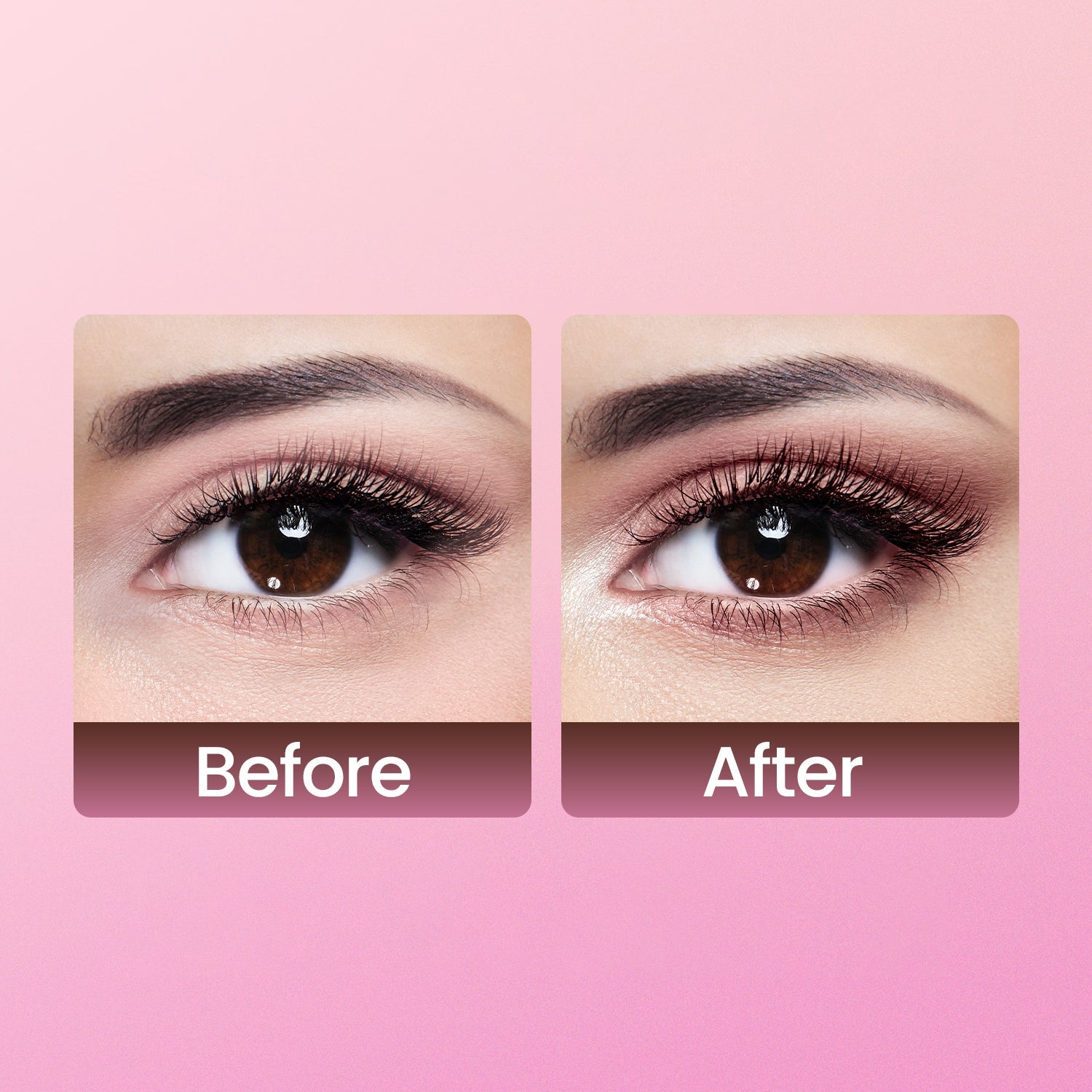Swiss Beauty Dual Passport Face & Eye Palette