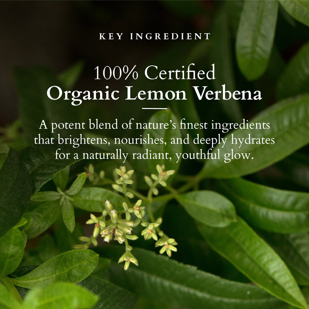 Lotus Organics+ Vitamin-C Radiance Booster Serum