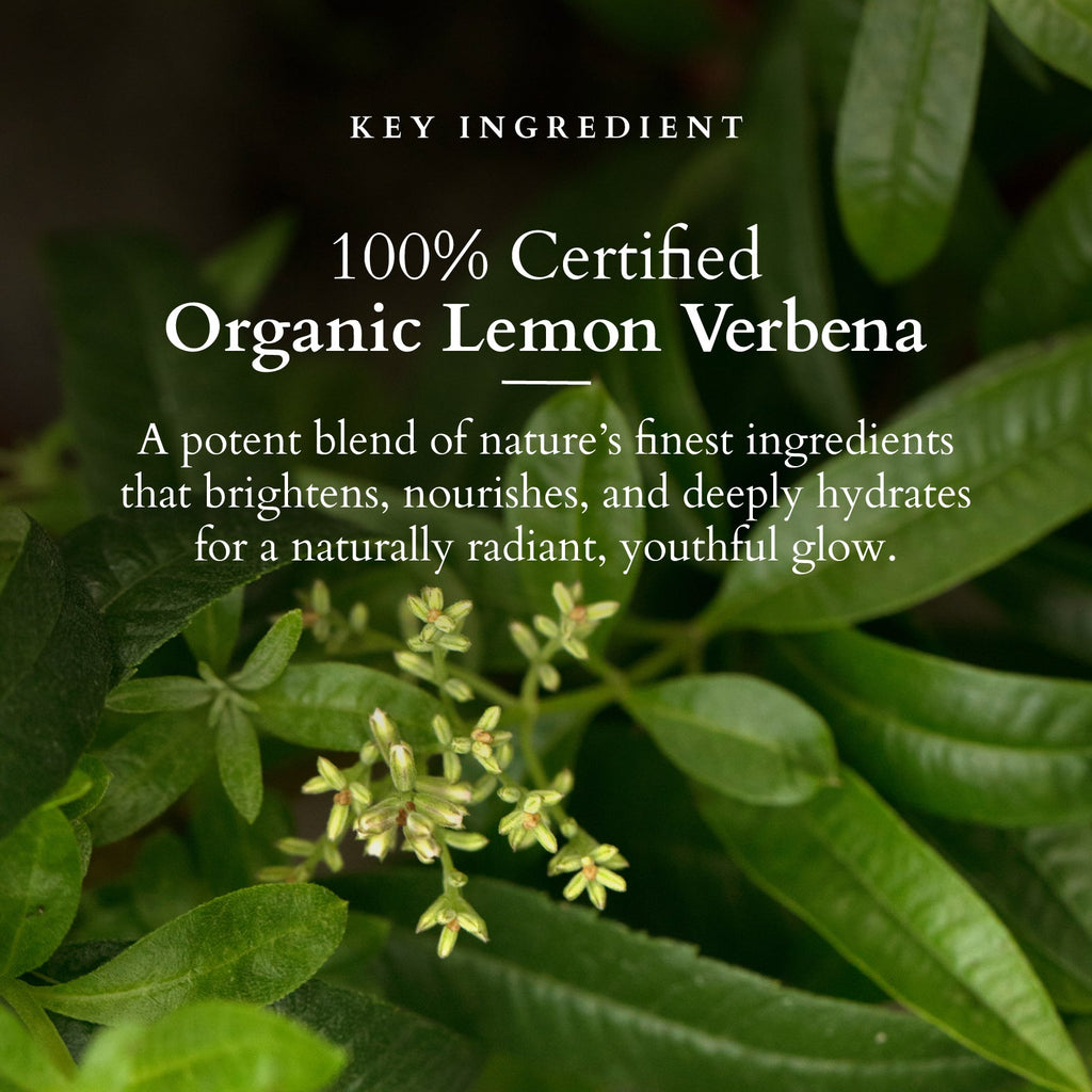 Lotus Organics+ Vitamin-C Radiance Booster cream