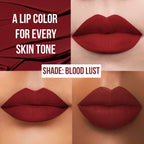 Insight 24 Hrs Non Transfer Matte Lipstick