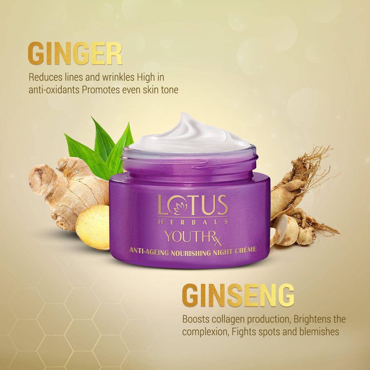 Lotus YouthRx Anti Ageing Nourishing Night Cream