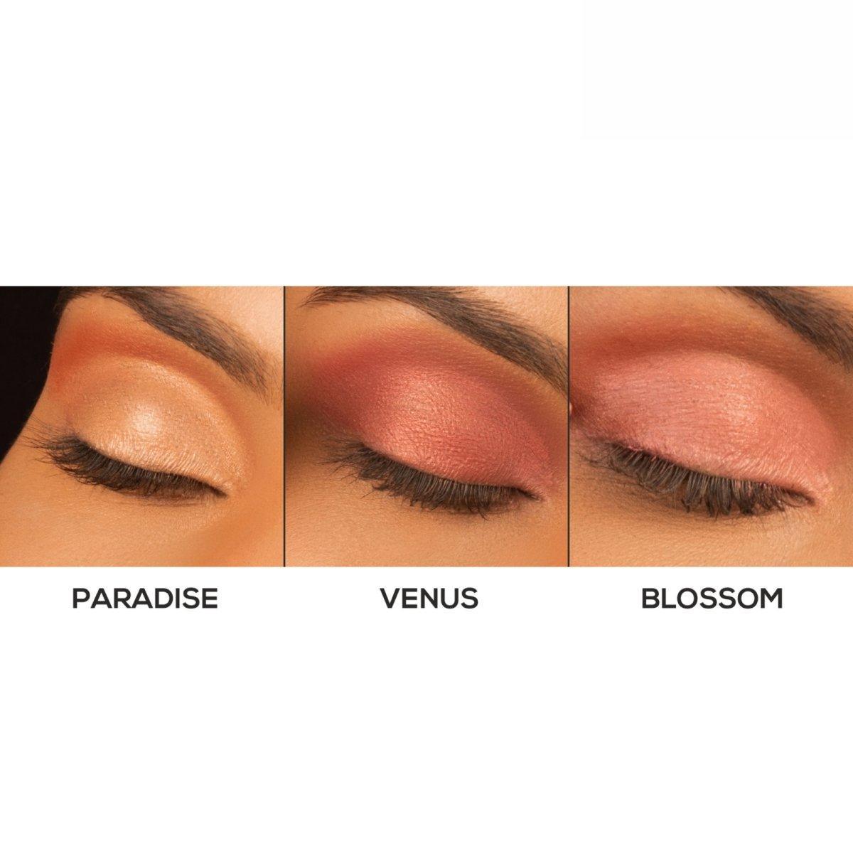 RENEE Fab 3 in 1 Eyeshadow, 4.5g